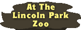At the Lincoln Park Zoo