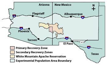 Mexican Recovery Zones