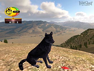 Screenshot of black Lamar Valley Wolf