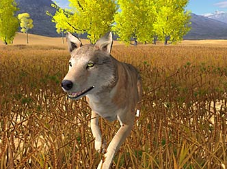 Screenshot of a solo wolf
