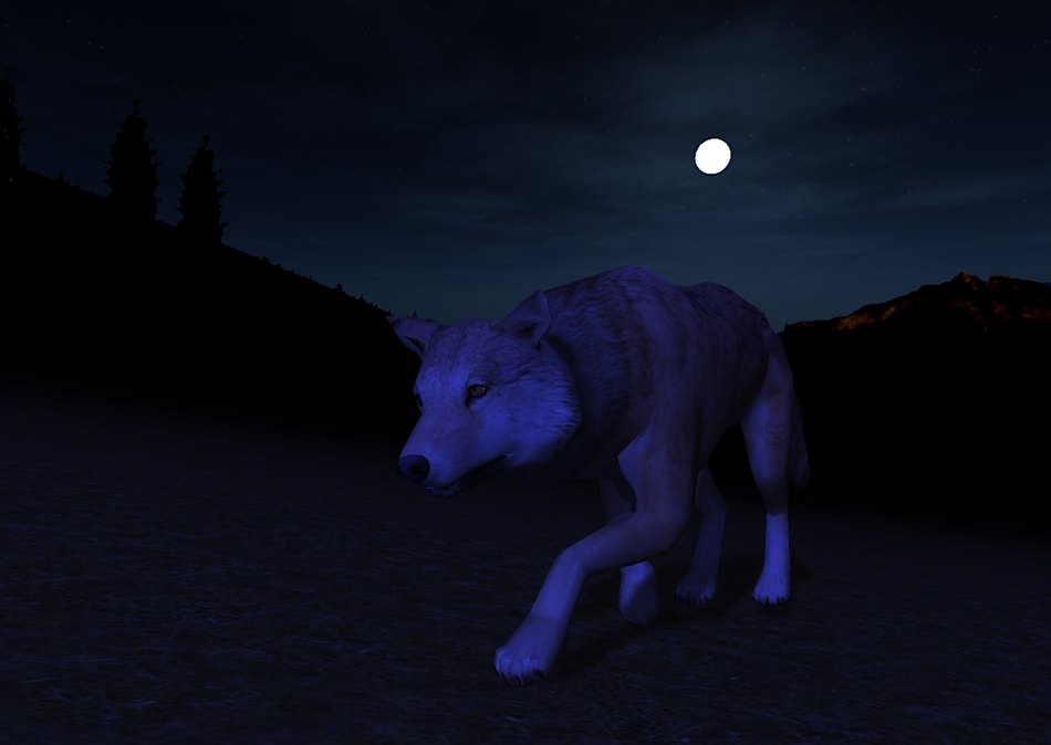 http://www.wolfquest.org/wq_newsletters/images/stalking.jpg