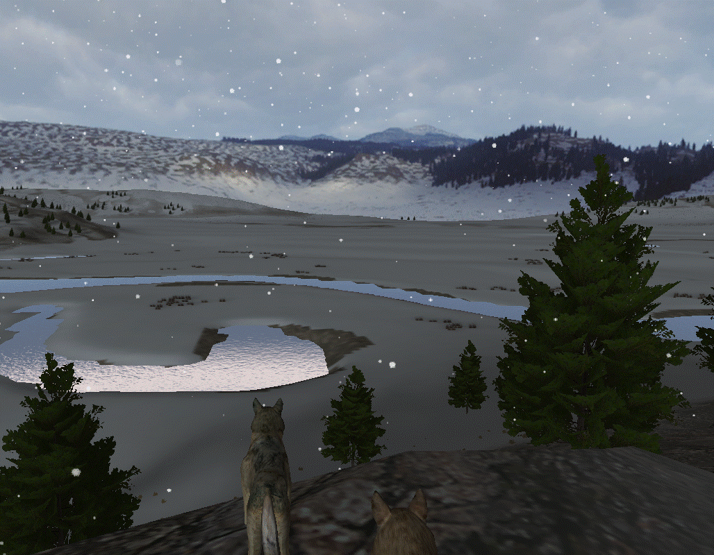 snow sc overview.gif