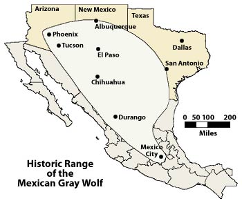 Historic Range of the Mexican Gray Wolf